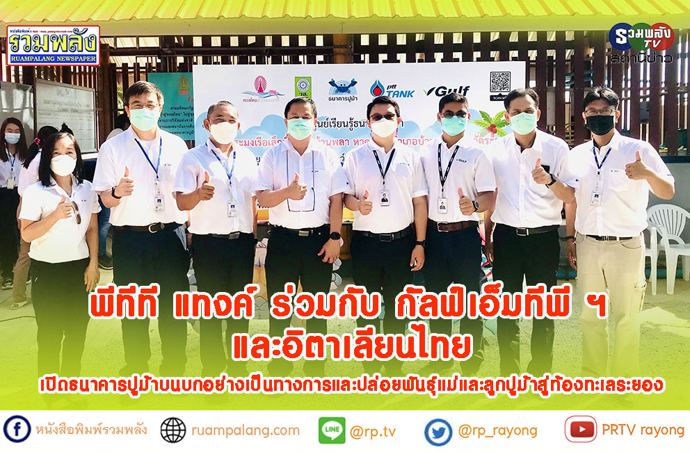 พีทีที แทงค์ ร่วมกับ กัลฟ์เอ็มทีพี ฯ และ อิตาเลียนไทยเปิดธนาคารปูม้าบนบกอย่างเป็นทางการและปล่อยพันธุ์แม่และลูกปูม้าสู่ท้องทะเลระยอง